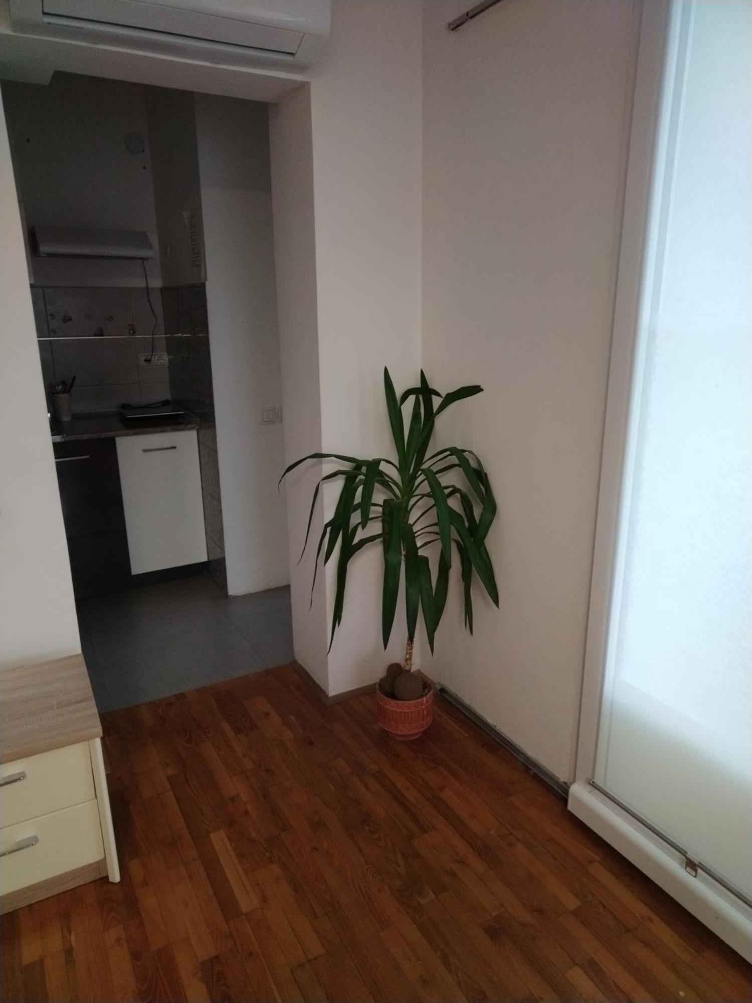Apartmani Pause Ni Camera foto